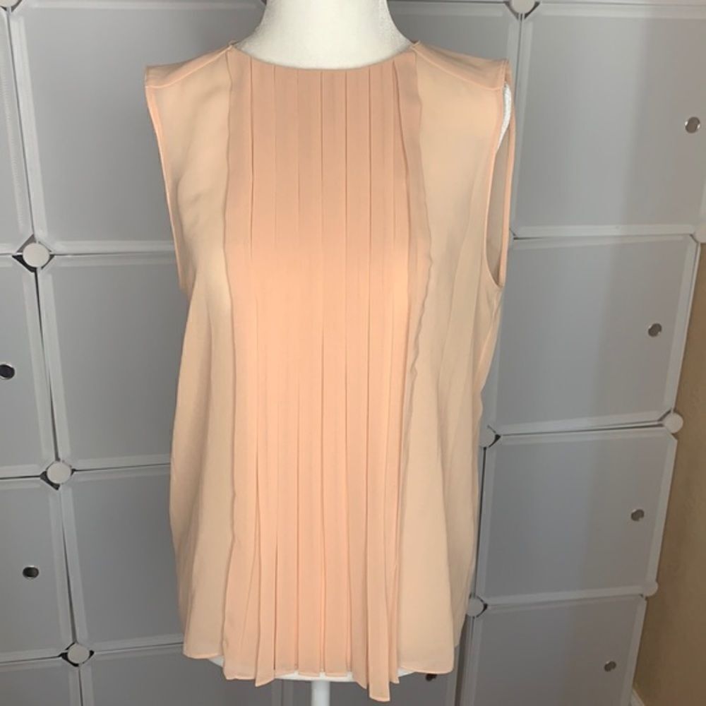 Zara Woman Sheer Pleated Sleeveless Blouse Size Small